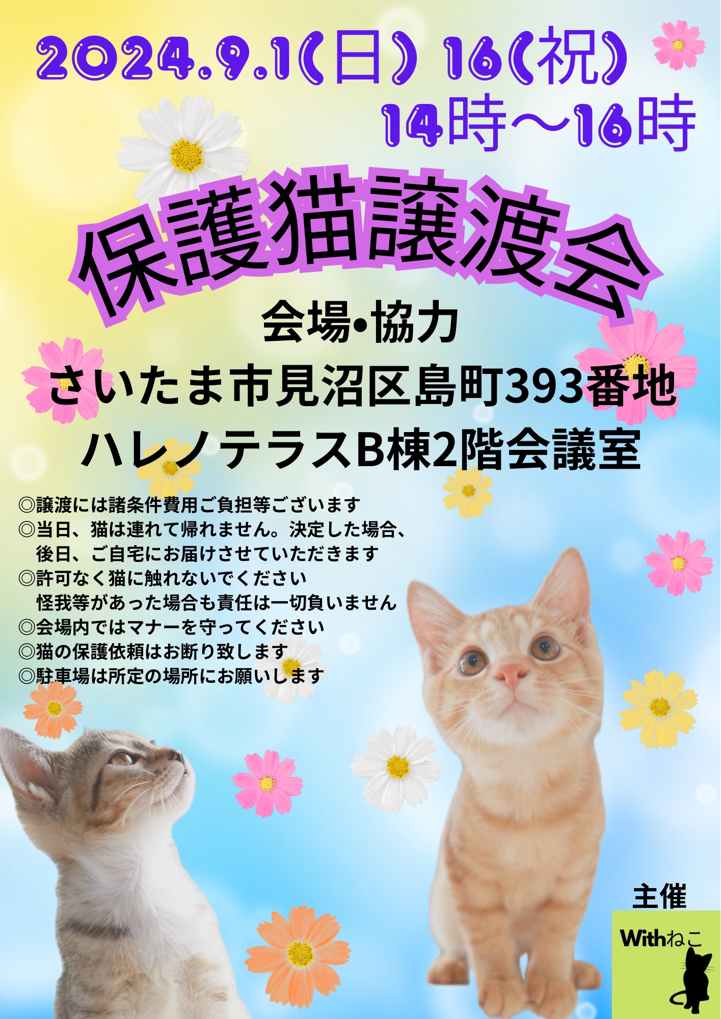 【さいたま市】9/1(日)ハレノテラス保護猫譲渡会