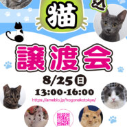 ほごねこ東京譲渡会in駒込