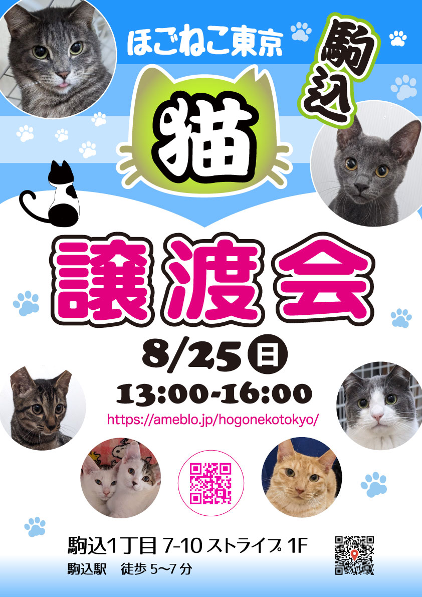 ほごねこ東京譲渡会in駒込