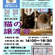 第23回 平野ろまねこ譲渡会