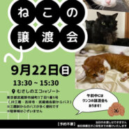 むさしの地域猫の会　譲渡会