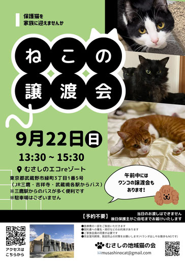 むさしの地域猫の会　譲渡会