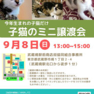 むさしの地域猫の会　子猫ちゃんだけのミニ譲渡会