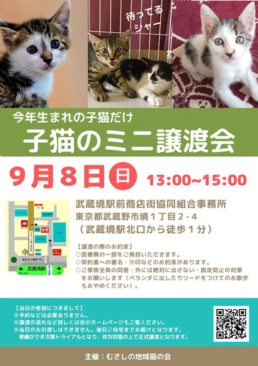 むさしの地域猫の会　子猫ちゃんだけのミニ譲渡会