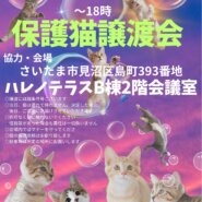 第2弾☆【さいたま市】８/17（土）夕涼みハレノテラス保護猫譲渡会