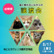 【初開催】大阪保護猫カフェで触れ合いながらの譲渡会！