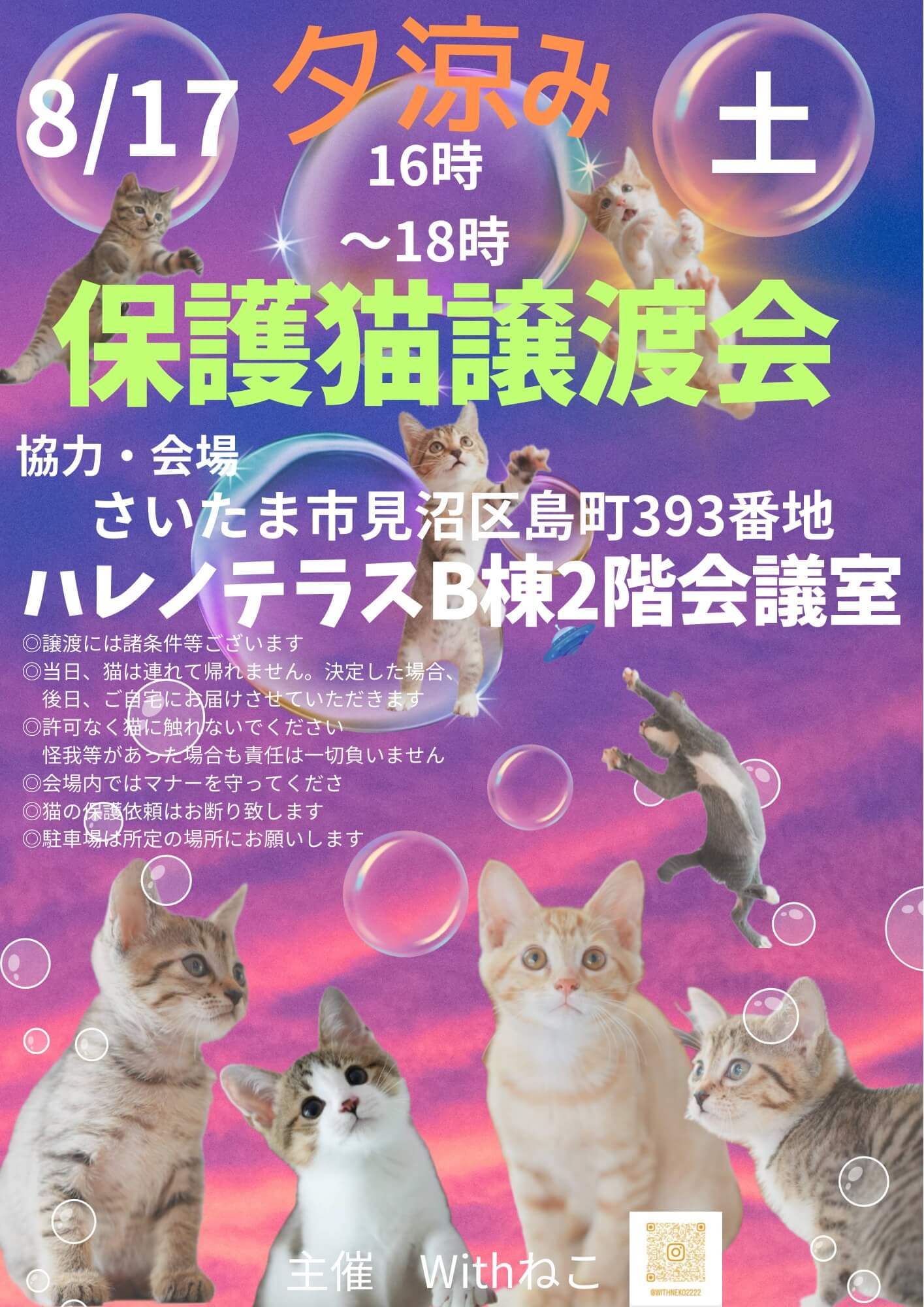 第2弾☆【さいたま市】８/17（土）夕涼みハレノテラス保護猫譲渡会