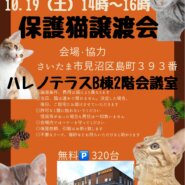 【さいたま市見沼区】10/19(土）ハレノテラス保護猫譲渡会