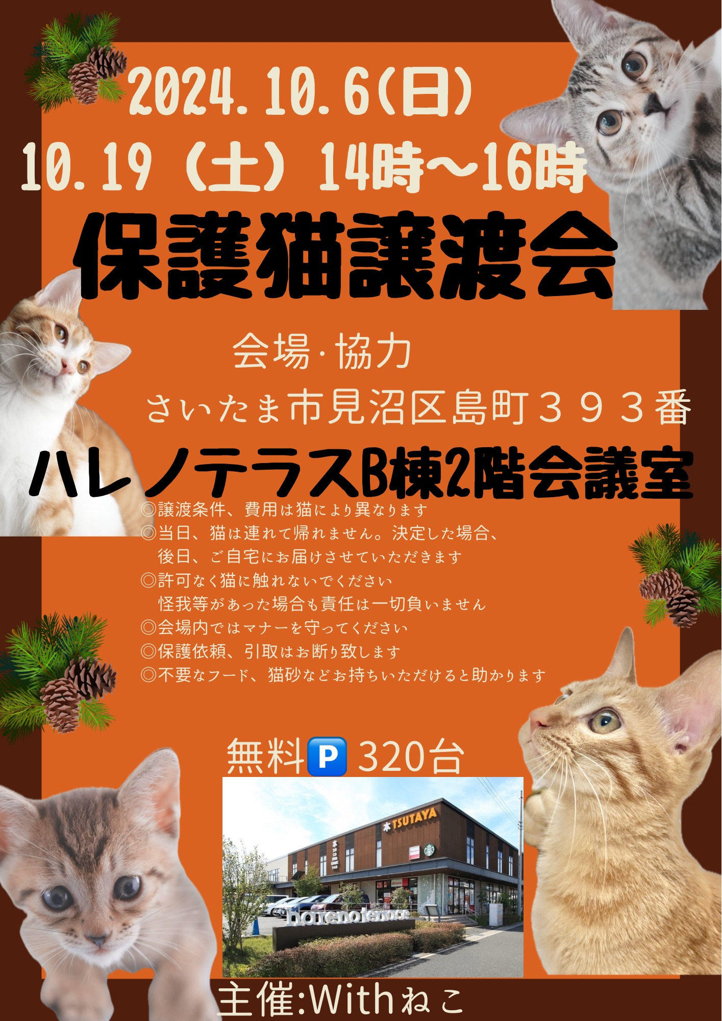 【さいたま市】10/6（日)ハレノテラス保護猫譲渡会