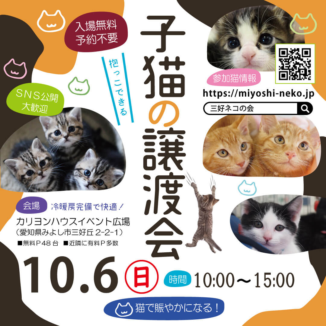 ★みよし市★子猫譲渡会★