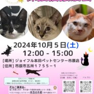 花ねこ譲渡会