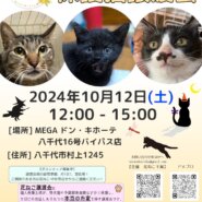 花ねこ譲渡会