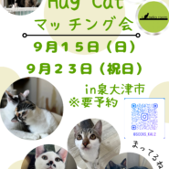 保護猫ルームでふれあい型【譲渡会】