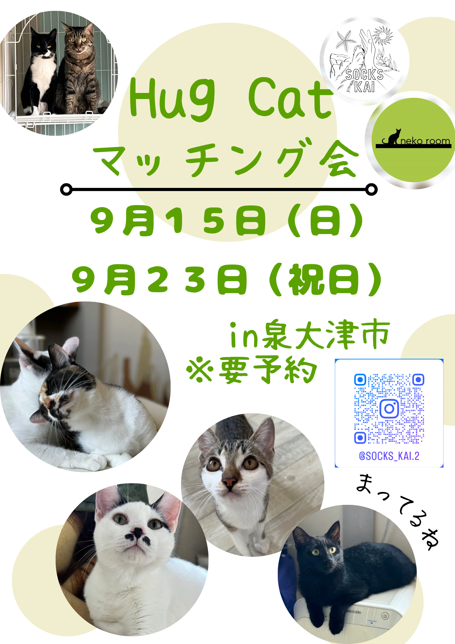 保護猫ルームでふれあい型【譲渡会】