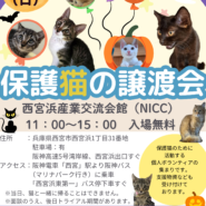 西宮保護ねこ かぎしっぽ第6回主催譲渡会