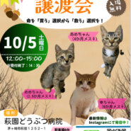 神奈川県茅ヶ崎市☆保護猫の譲渡会