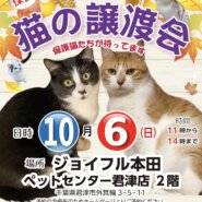 【君津市】保護猫の譲渡会