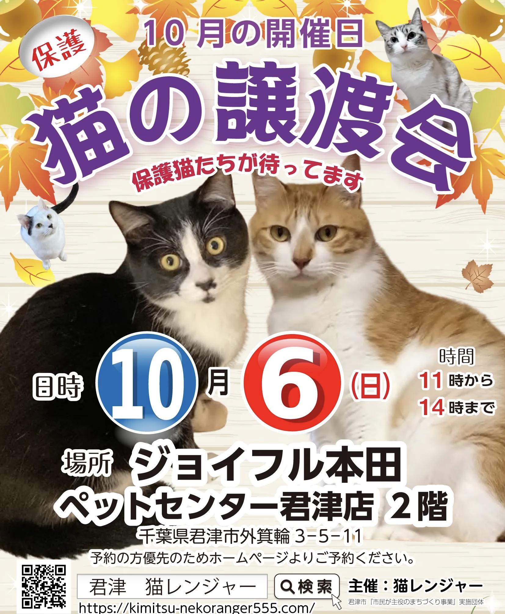 【君津市】保護猫の譲渡会