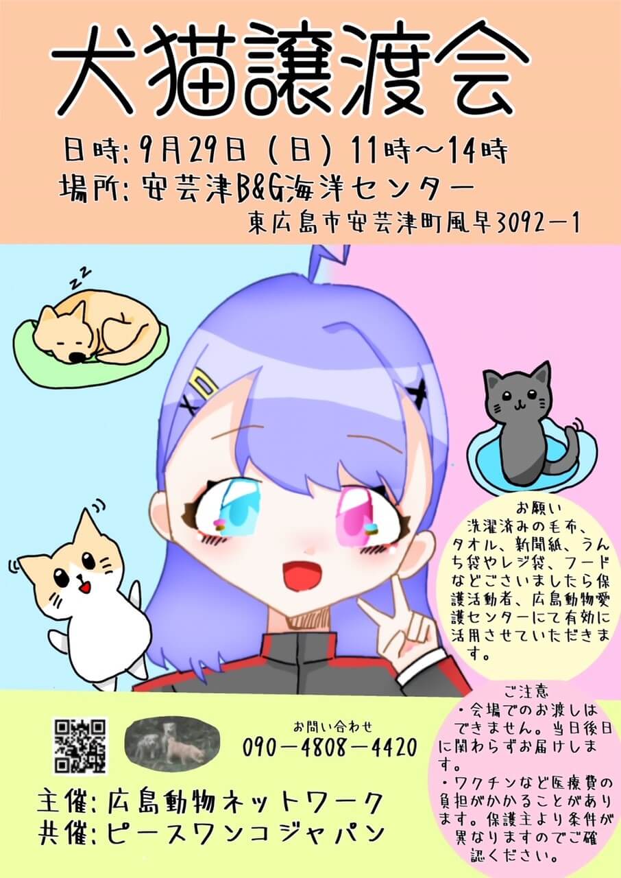 犬猫譲渡会