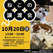 むさしの地域猫の会　譲渡会