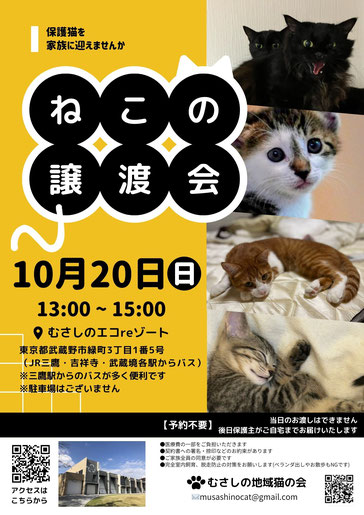 むさしの地域猫の会　譲渡会