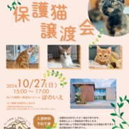 【さいたま市西区】10/27(日)猫専門病院「ぽのいえ」保護猫譲渡会