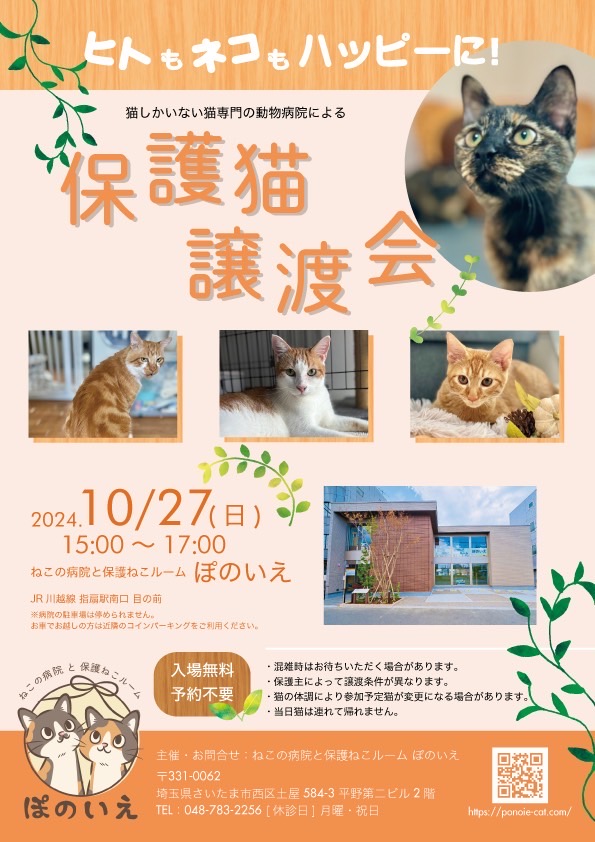 【さいたま市西区】10/27(日)猫専門病院「ぽのいえ」保護猫譲渡会