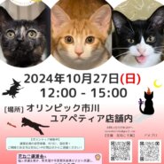 花ねこ譲渡会