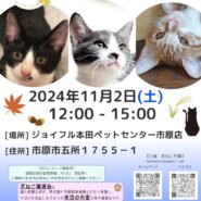 花ねこ譲渡会