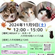 花ねこ譲渡会