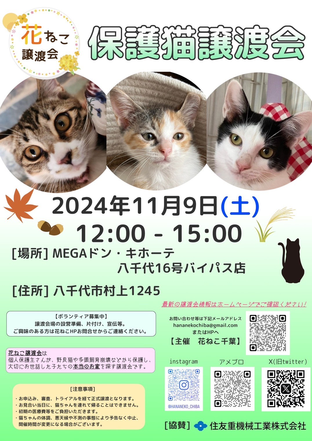 花ねこ譲渡会