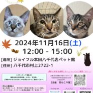 花ねこ譲渡会