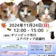 花ねこ譲渡会