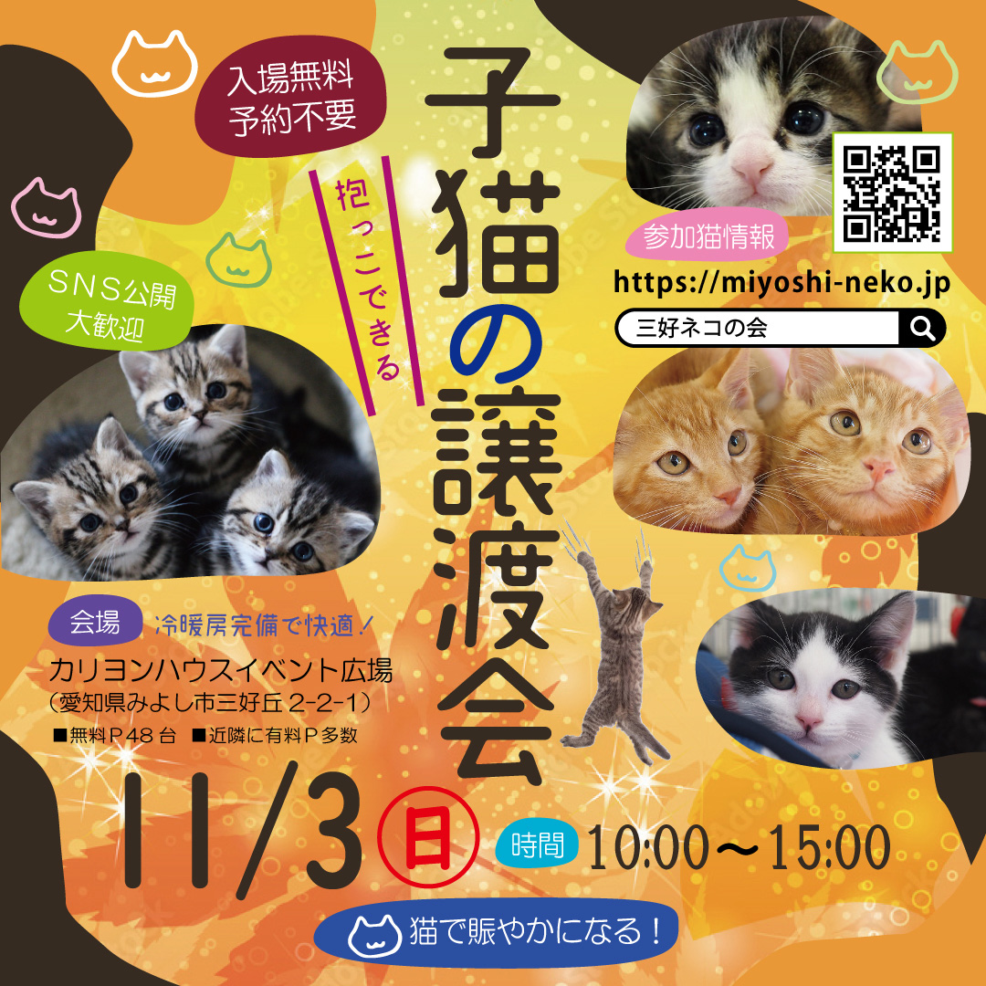 ★子猫中猫20匹～25匹♪みよし市★