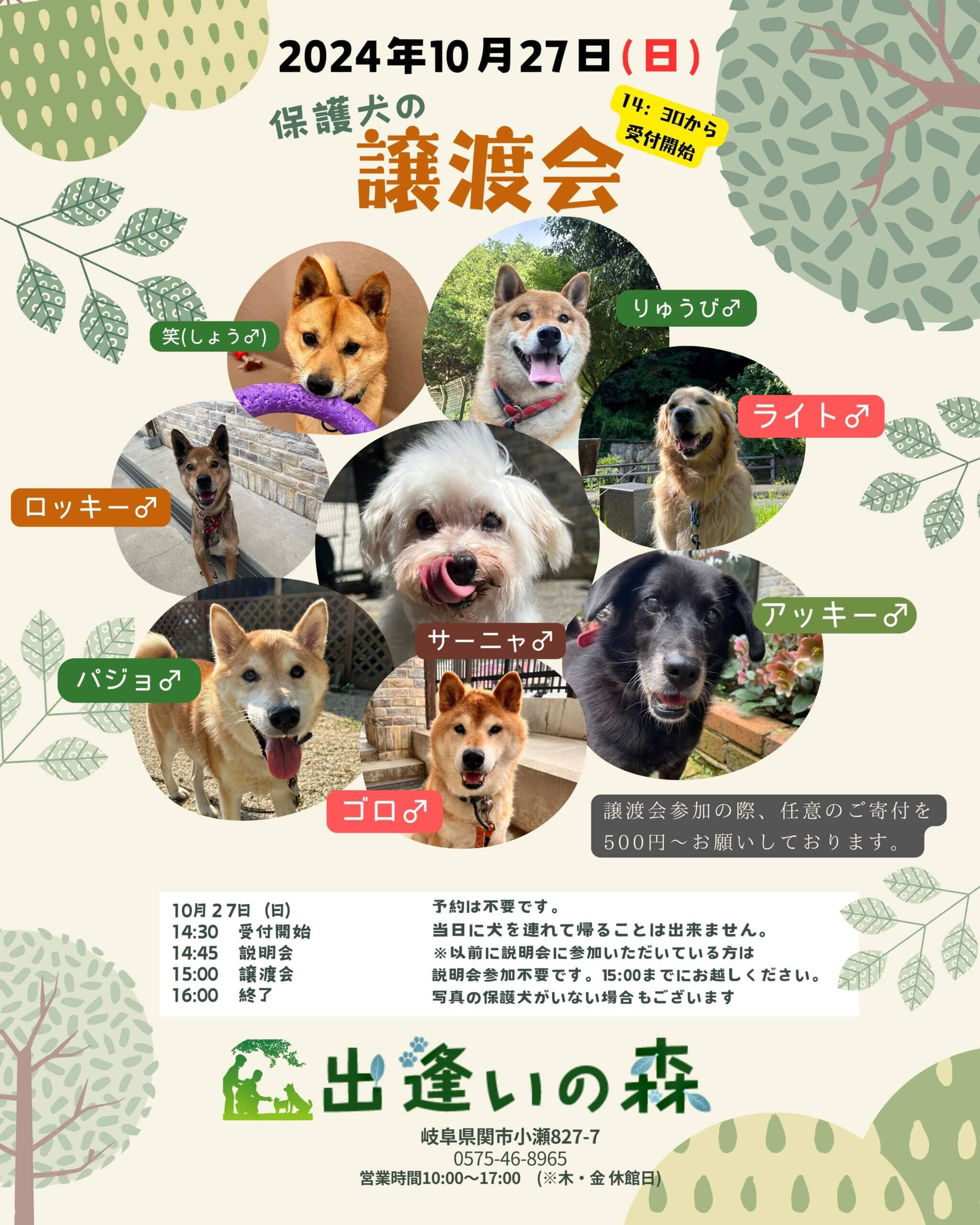 岐阜の保護犬譲渡会