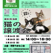 第24回 平野ろまねこ譲渡会