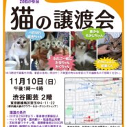 猫の譲渡会　渋谷園芸・練馬本店