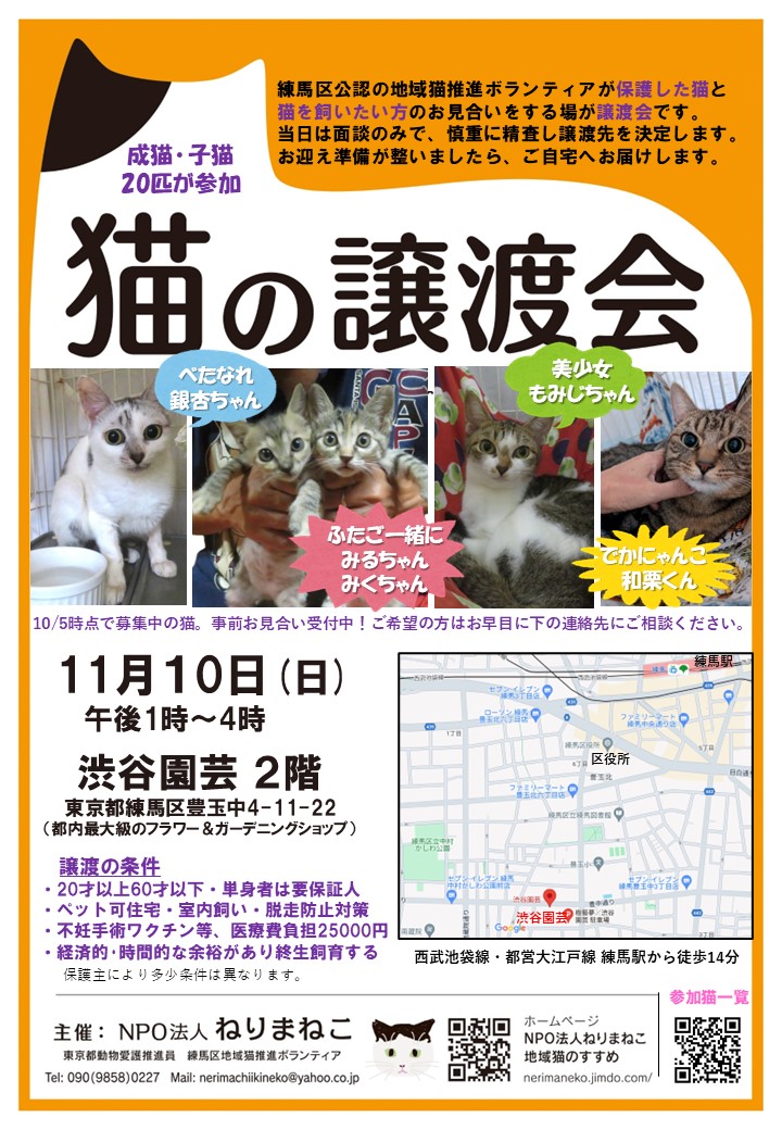 猫の譲渡会　渋谷園芸・練馬本店