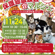 百町保護猫譲渡会＆マルシェ