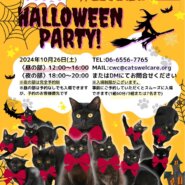 ふれあえる譲渡会　ハロウィンパーティー！in大阪市＜夜の部＞