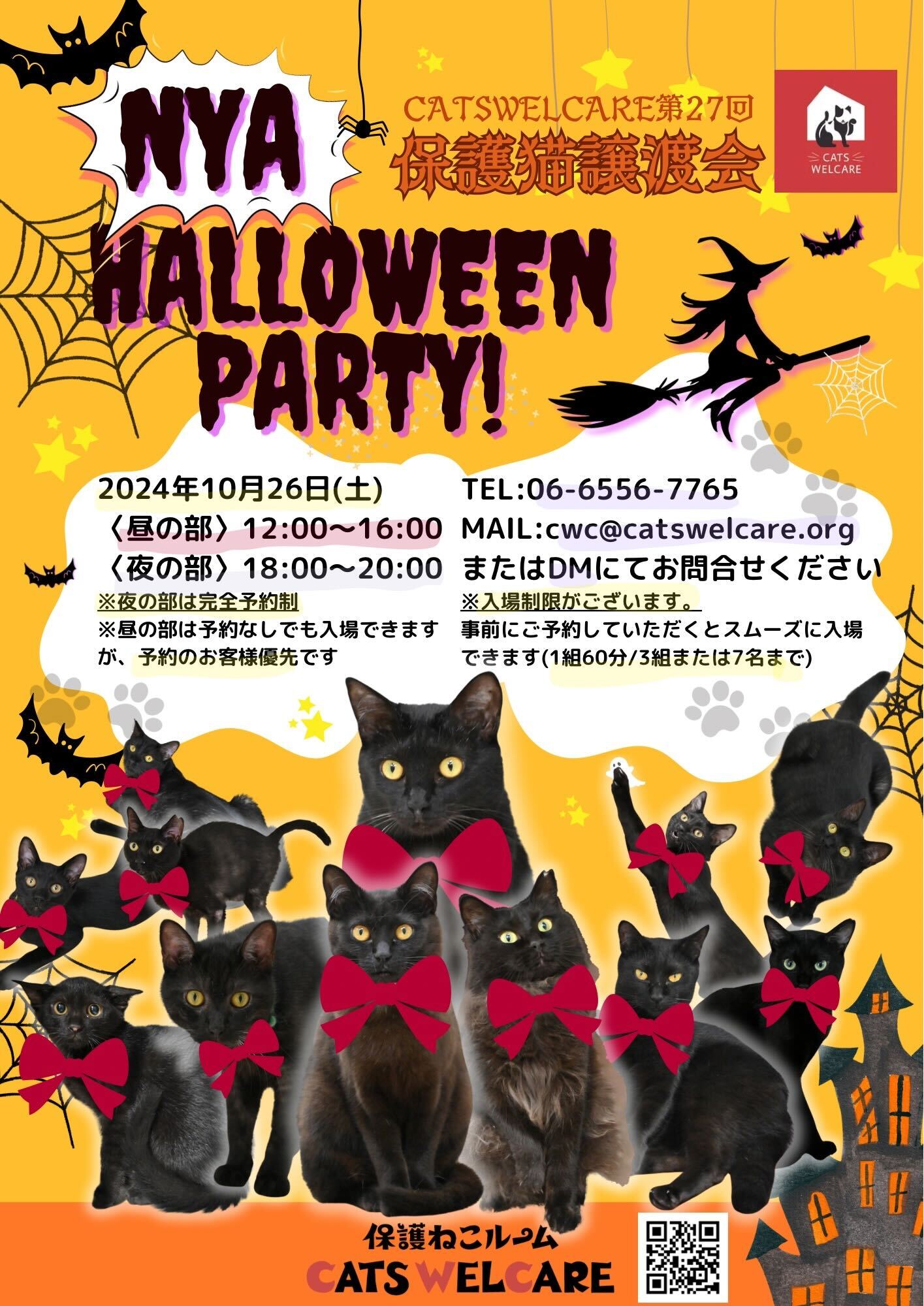 ふれあえる譲渡会　ハロウィンパーティー！in大阪市＜夜の部＞