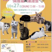 保護猫譲渡会in綾瀬