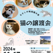 むさしの地域猫の会　譲渡会