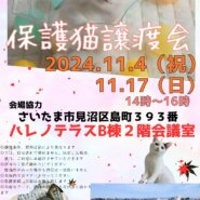 【さいたま市見沼区】11/4（祝）ハレノテラス保護猫譲渡会