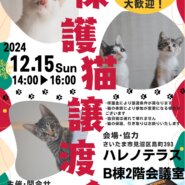 【さいたま市見沼区】12/15（日）ハレノテラス保護猫譲渡会