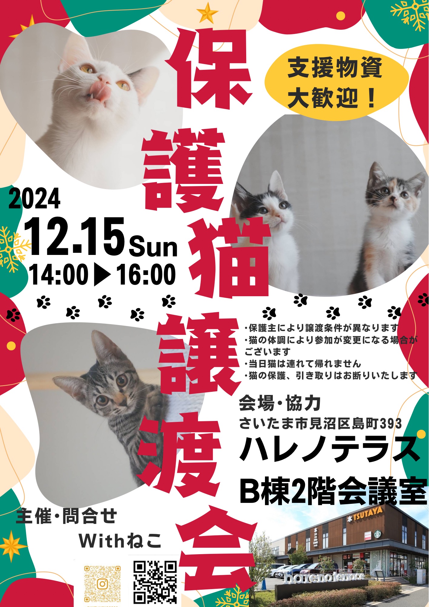 【さいたま市見沼区】12/15（日）ハレノテラス保護猫譲渡会