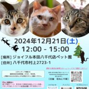 花ねこ譲渡会