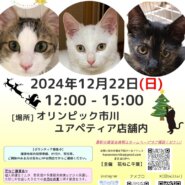 花ねこ譲渡会