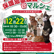 百町保護猫譲渡会＆マルシェ