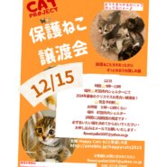 HappyCats〜ねこに恩返し〜保護ねこ譲渡会